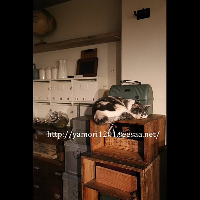 miestiloさんの実例写真