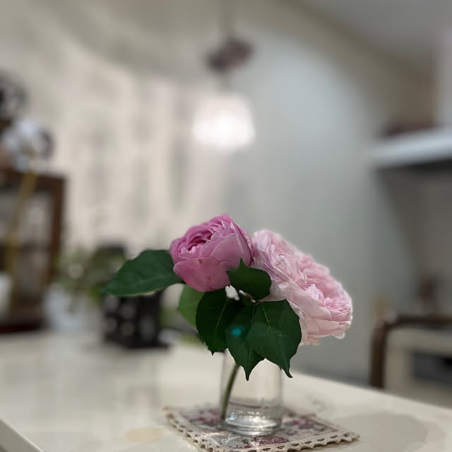 sakuraさんの部屋
