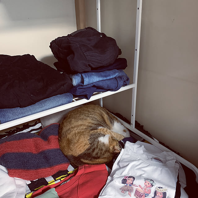 ytynkkさんの実例写真
