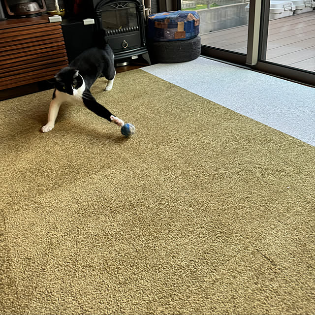porinさんの部屋