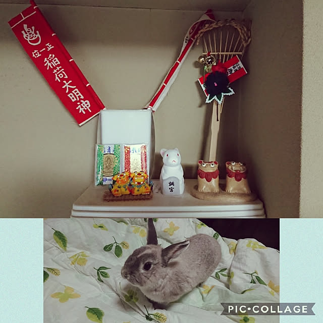 yokomokoさんの実例写真