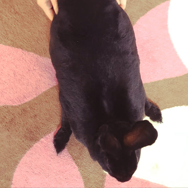 mapoさんの実例写真