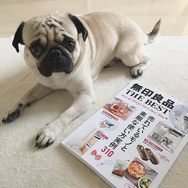 YUIさんの実例写真