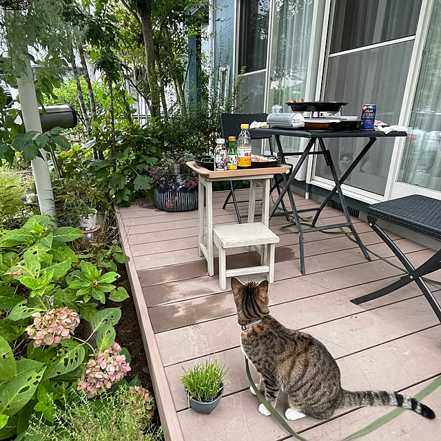 nobikoさんの部屋