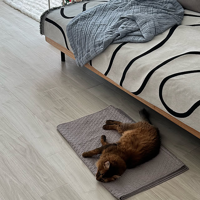 yuri.sさんの部屋