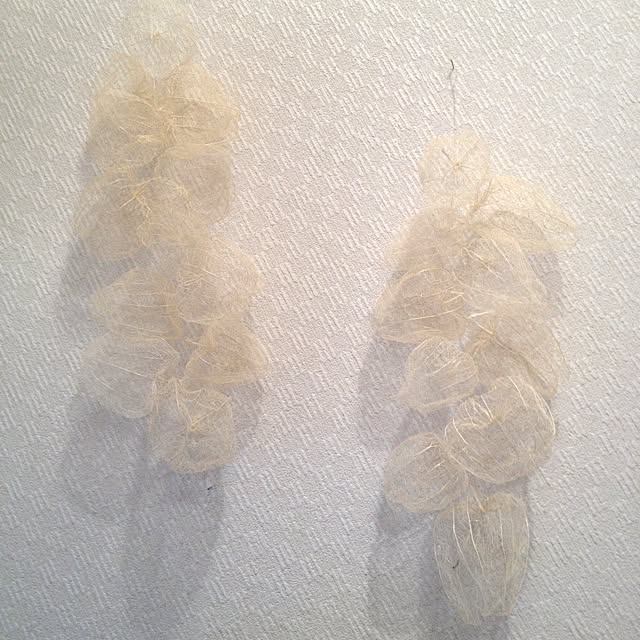 mizutubuさんの実例写真