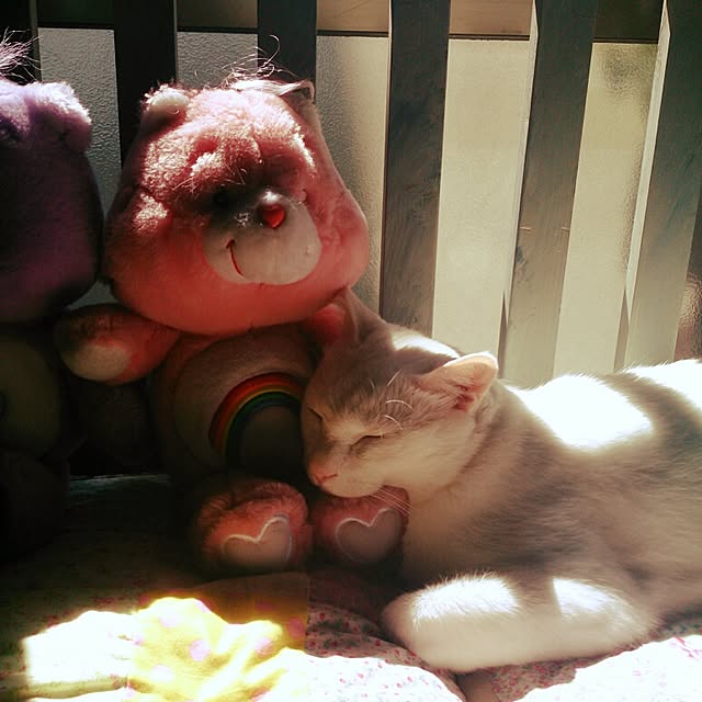 amifuuさんの実例写真