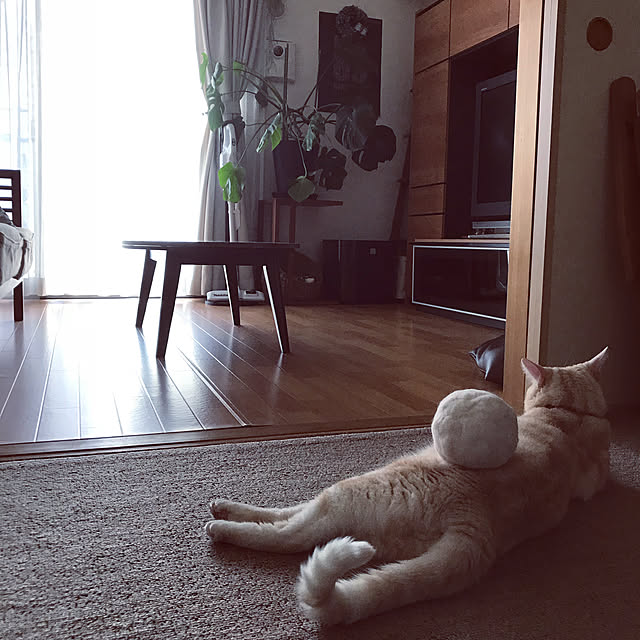 hiyupan88さんの実例写真