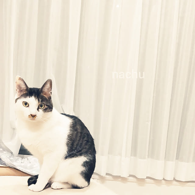 nachuさんの実例写真