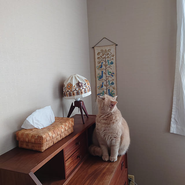 nanamomo1119さんの実例写真