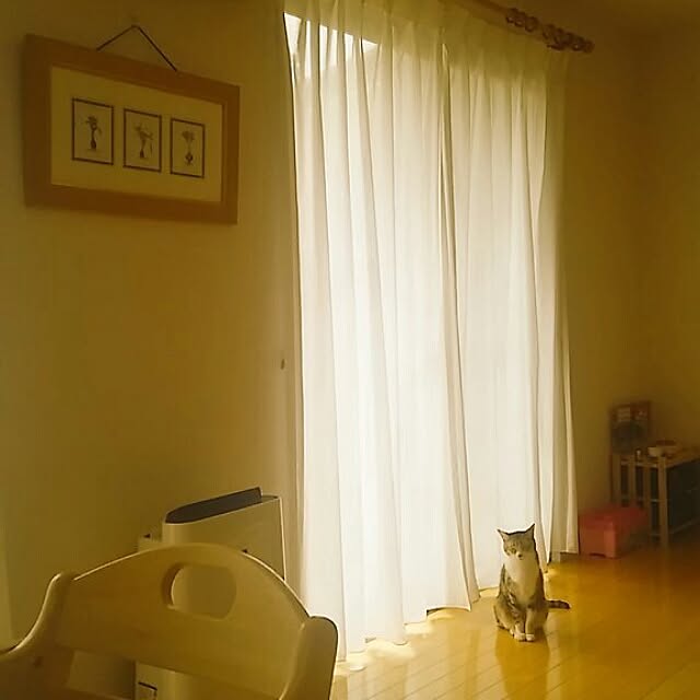 123sgnbさんの実例写真