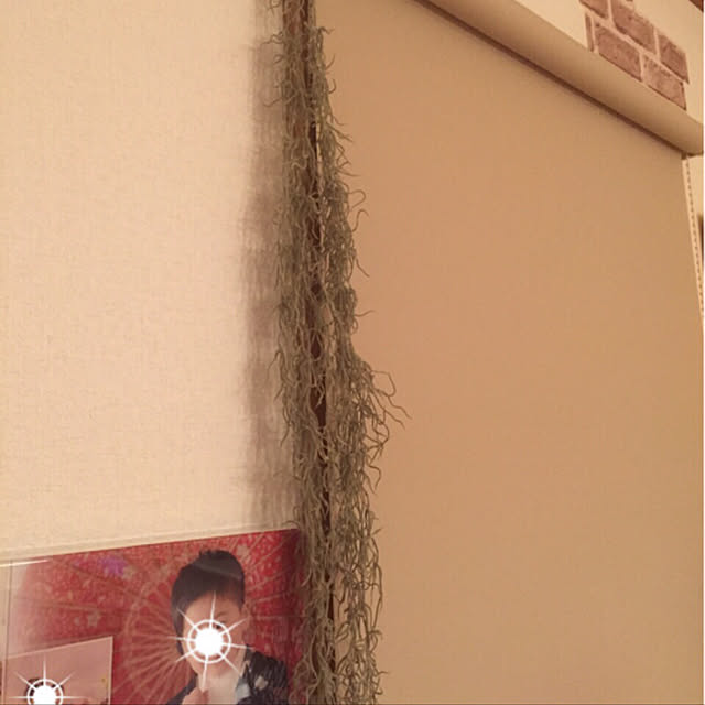 wakabaさんの実例写真