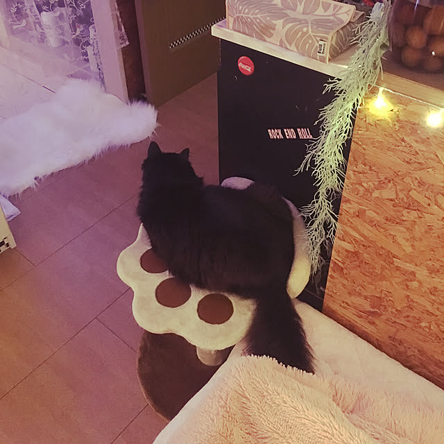kanaさんの実例写真