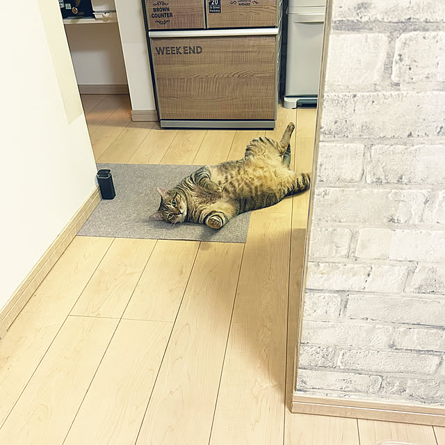 kiiiiiiiiiiさんの実例写真