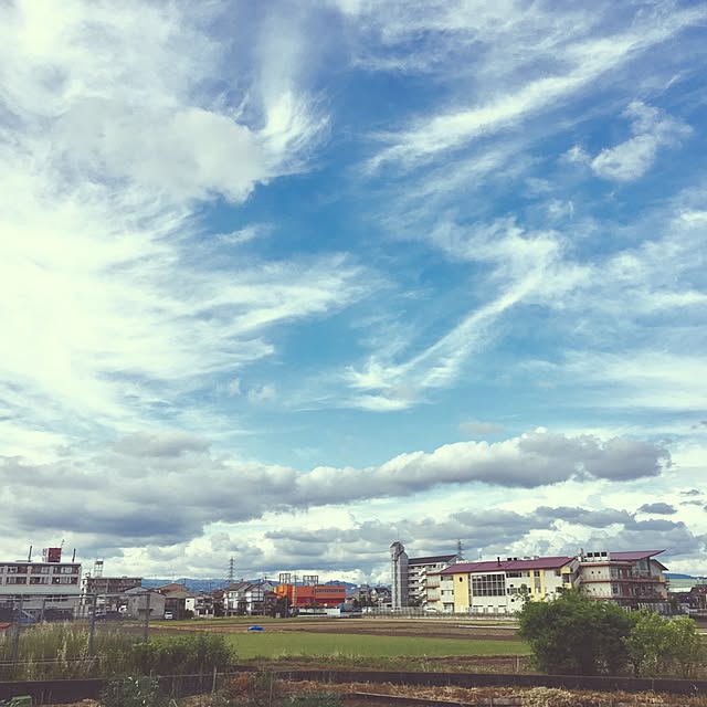 実例写真