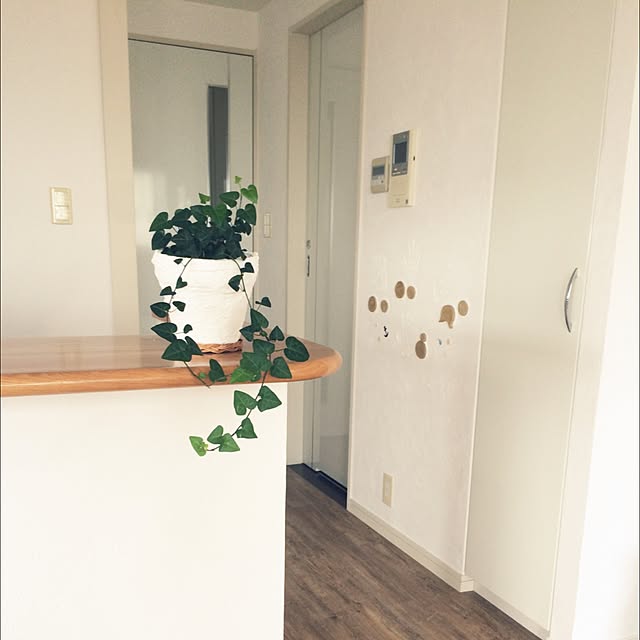 misaさんの実例写真