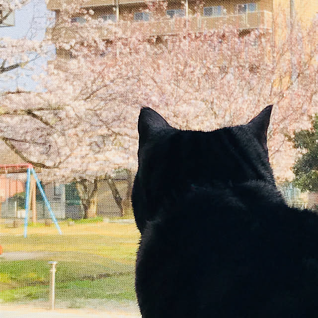 jukai8153さんの実例写真