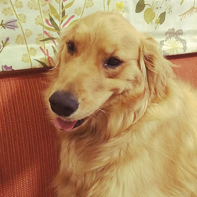 bigsunny0103さんの実例写真