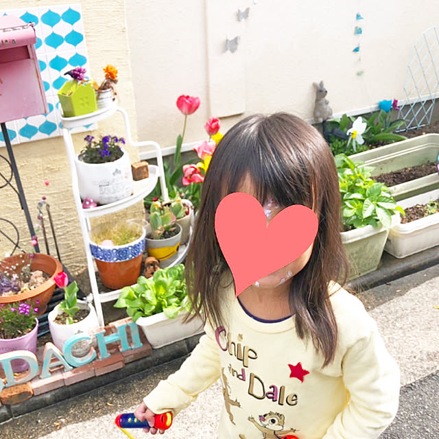 Arataさんの実例写真