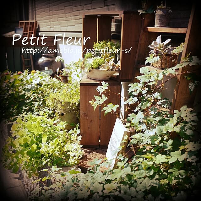 Petitさんの実例写真