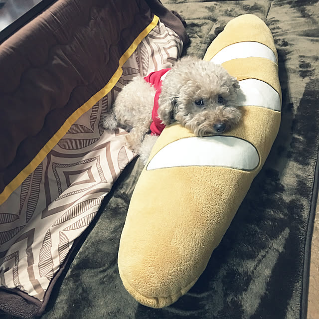 ronmaruさんの実例写真