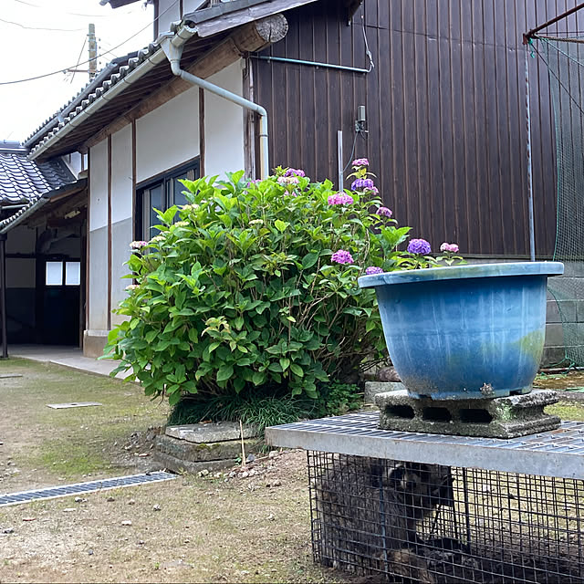 cota2さんの実例写真