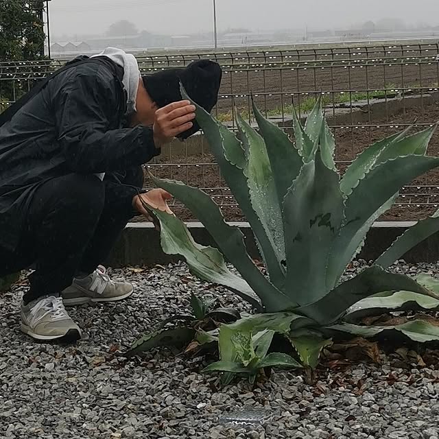 tomoさんの実例写真