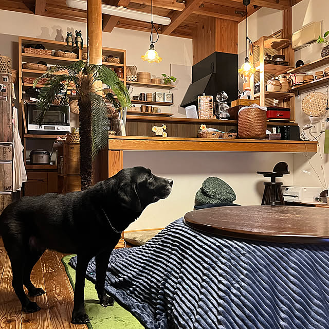 昭和レトロ こたつのある部屋のおすすめ商品とおしゃれな実例 昭和レトロ こたつのある部屋のおすすめ商品とおしゃれな実例