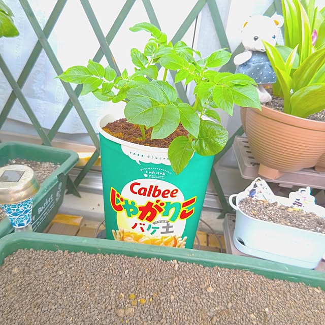 mariaさんの部屋