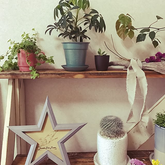 kokoさんの実例写真