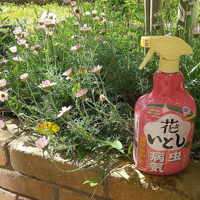 Rさんの実例写真