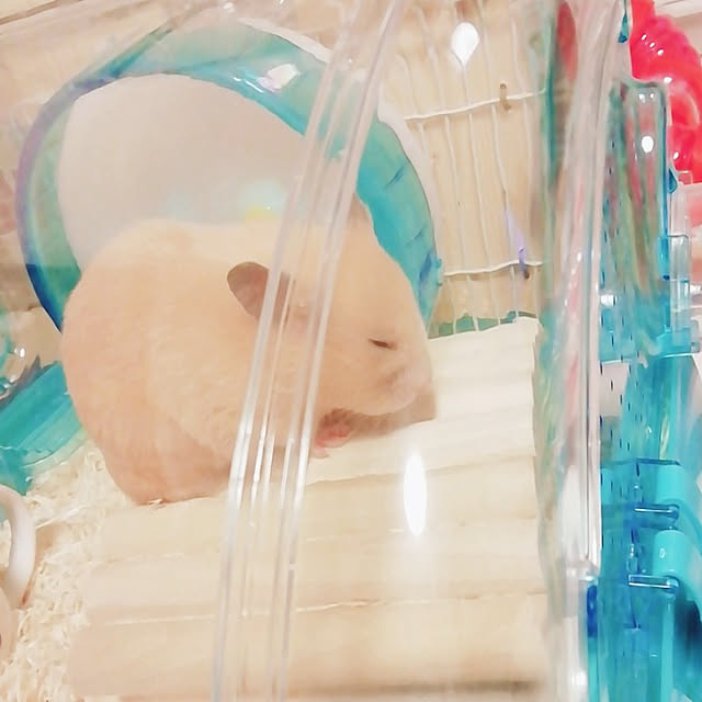 haruさんの実例写真