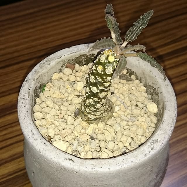 takenさんの実例写真