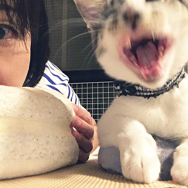 ALPSさんの実例写真