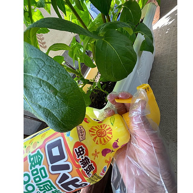 syutmmさんの部屋