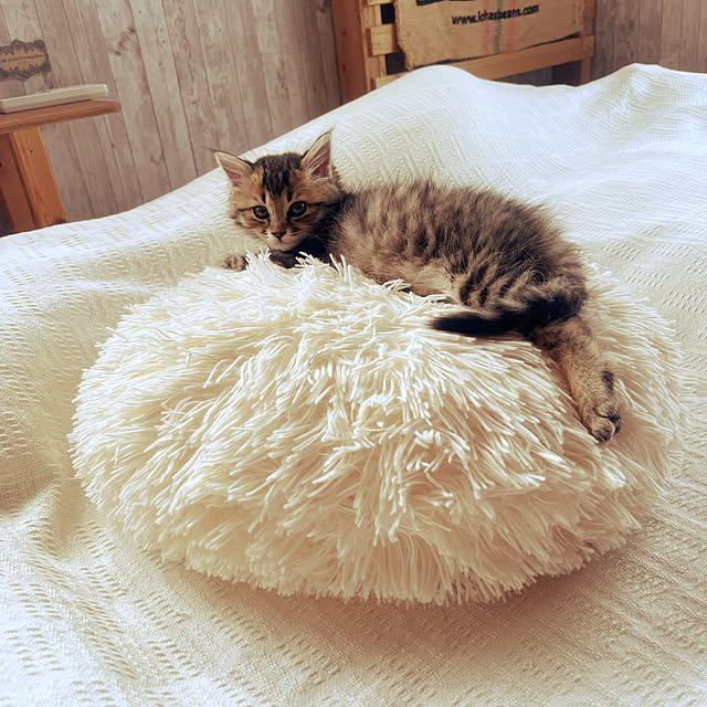 Mさんの部屋