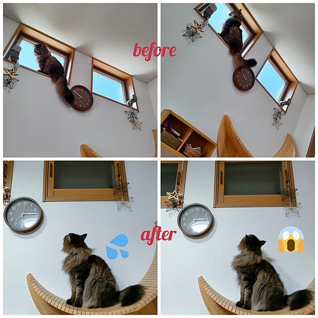 sayan_0321さんの実例写真