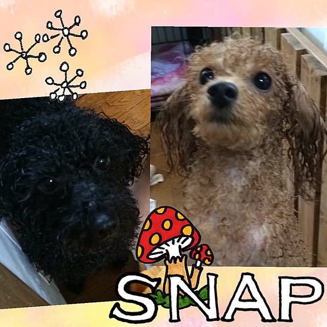 natulove0418さんの実例写真