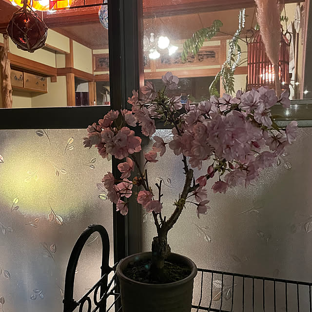 shin0719さんの部屋