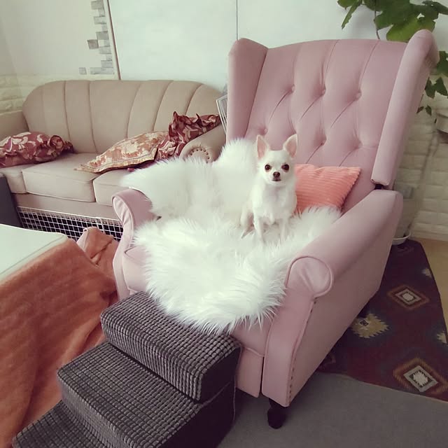 Bienvenueさんの実例写真