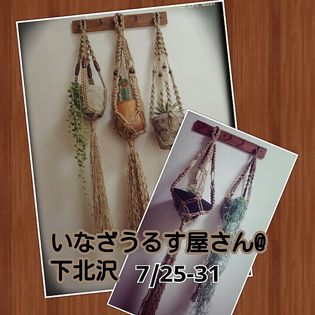 usukoさんの実例写真
