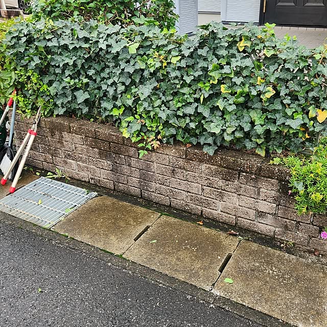 Mizubasyoさんの実例写真