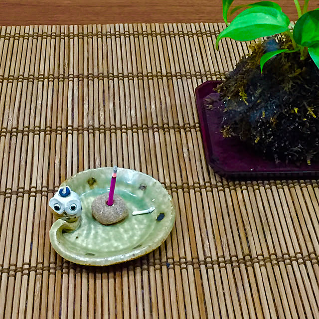 ikeyanさんの実例写真