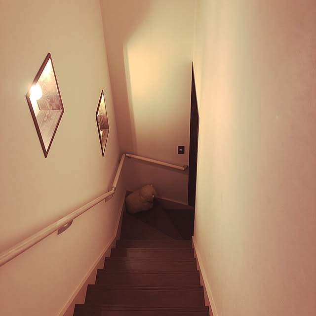Happakoさんの実例写真