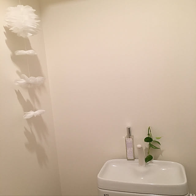 saeさんの実例写真