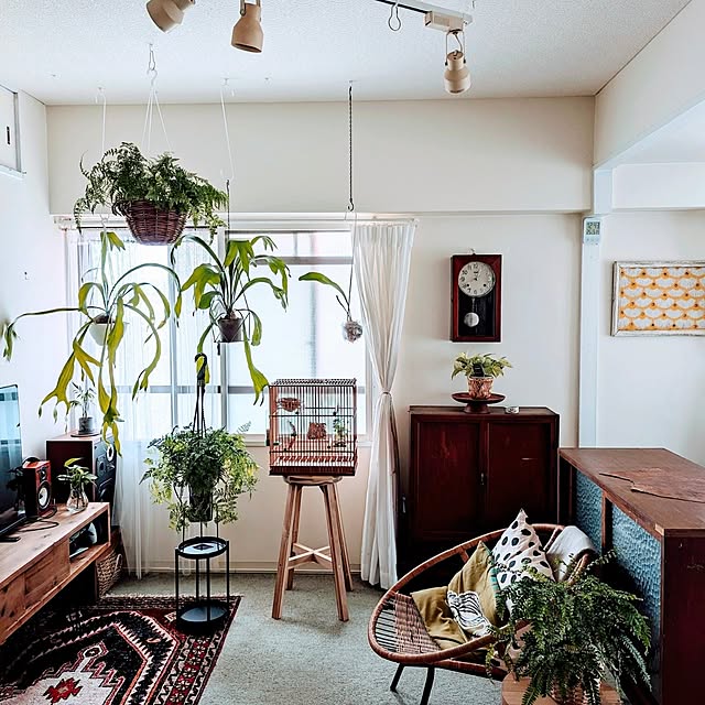 部屋全体/IKEA/マンション/模様替え/グリーンのある暮らし...などのインテリア実例 - 2024-06-05 18:23:56