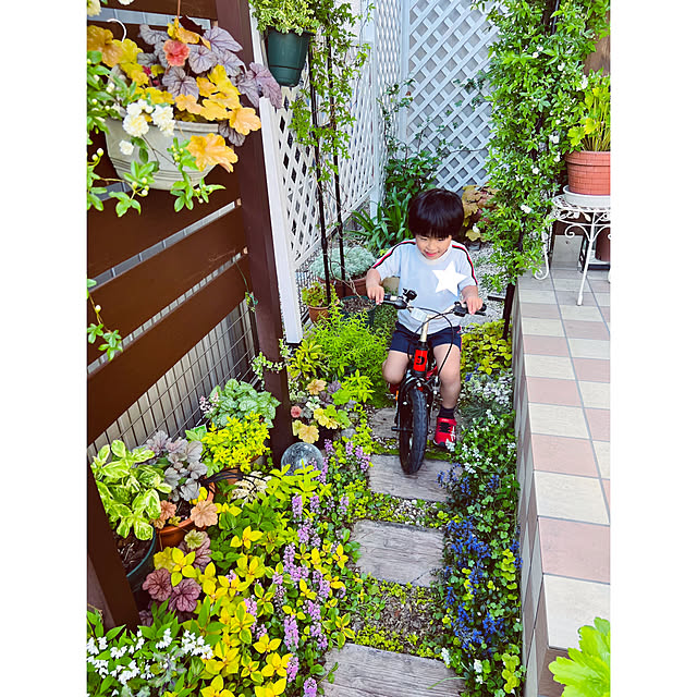hinamamaさんの部屋