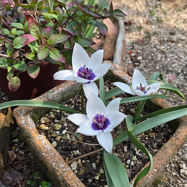 min_nimさんの部屋