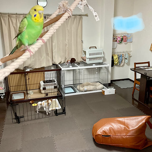 toratanさんの実例写真
