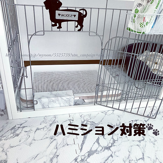 locaさんの実例写真